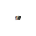 Herlitz Schnellhefter A4 PP, assorted colours, 10-pack (A4 polypropylene clip folders, transparent front with label strip)