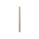 Rotring T1 Plastic 30cm Scale with Handle - White (8020200)