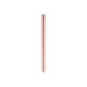 Rotring T1 Plastic 30cm Scale with Handle - White (8020200)