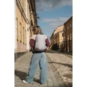 Pacsafe Backpack 24 L Grey