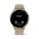 Smartwatch Garmin Venu 3S 41mm french Gray softgold