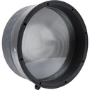 Amaran Fresnel Ray