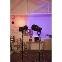 Amaran Fresnel Ray