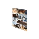 HERMA Sammelmappe A3 'Pferde' - Cardboard A3 Folder with Horse Design