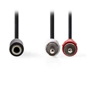 Αντάπτορας RCA Nedis CAGB22255BK02 Stereo 2x RCA Male - 3.5mm Female