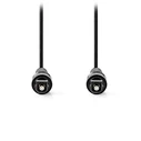 Καλώδιο Οπτικής Ίνας Nedis Toslink male/Toslink male 1m (CAGB25000BK10)