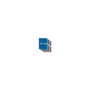 Herlitz Gummizugmappe PP A4 opaque beere (berry) - Elastic-band A4 filing folder