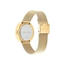 Γυναικείο Ρολόι Calvin Klein 25200339 (38,5cm) Μεταλλικό Μπρασελέ Χρυσό