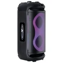 Reflexion PSX40 Portable Bluetooth Speaker
