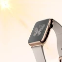 GrizzGlass PaperScreen Garmin Fenix 5