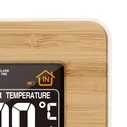 Alecto WS-1560 Ασύρματος Μετεωρολογικός Σταθμός με Ασύρματο Αισθητήρα (Bamboo)