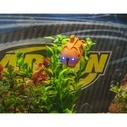 Carson RC XS Deep Sea Dragon Radio-Controlled Boat 500707117 - Orange