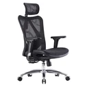 Καρέκλα Γραφείου Sihoo Ergonomic M57 Black