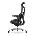 Καρέκλα Γραφείου Sihoo Ergonomic DORO S100 Black