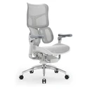 Καρέκλα Γραφείου Sihoo Ergonomic DORO S300 OFF White