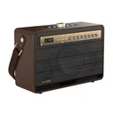 Karaoke W-King K6L 120W + 2 microphones (brown)
