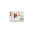 tesa Powerstrips Picture Hook (Bilder-Nagel) - Self-adhesive picture hook, white, 2 pcs