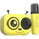 Karaoke CGV with wireless microphone - Diablo