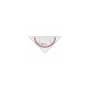 Möbius+Ruppert (M+R) Geodreieck 17 cm, crystal clear with red backing, 1 piece (MPN 723170040)
