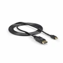 Καλώδιο DisplayPort Mini σε DisplayPort StarTech MDP2DPMM6 (1,8 m) Μαύρο