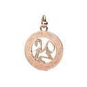 Γυναικείο Charm Folli Follie 3P1T014Rc (4cm) από Ατσάλι Pink Gold
