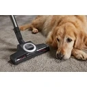 Miele Blizzard CX1 Cat & Dog PowerLine κόκκινο