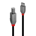 Καλώδιο USB-C σε USB B Lindy 36942 Μαύρο 2 m