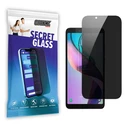 GrizzGlass Matte SecretGlass TCL Ion X