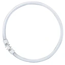 Λαμπτήρες φθορισμού Osram Circular Fluorescent Lamp T5 FC40W 830 2GX13