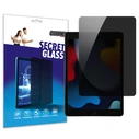 GrizzGlass Matte SecretGlass Apple iPad 9,7 inch (5., 6. gen)