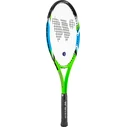 Ρακέτα Tennis WISH Alumtec 2577 Πράσινη