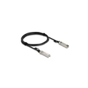 Delock Twinax SFP+ Cable 2 m (SFP+ plug to SFP+ plug) - Model 84204