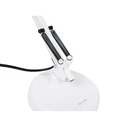 BLOW LB-09W Desk Lamp with Adjustable Arm 2-in-1 E27 White