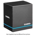 Ανδρικό Ρολόι Casio MDV-10D-1A1VEF Μαύρο Ασημί