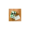 trodat Creative Mini/V4 Pastel Green 1129 - "Beste W?nsche" creative mini stamp (12 motifs)