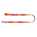 Λουρί Σκύλου WauDog gradient nylon 15mm wide, 122cm long, orange
