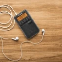 Φορητό Ραδιόφωνο Sangean DT-800 (USB-C) Μαύρο