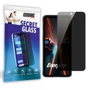 GrizzGlass Matte SecretGlass Energizer H67G