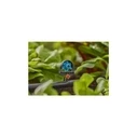 Gardena Black Micro-Drip Nozzle 13 mm (13324-20)