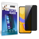GrizzGlass Matte SecretGlass Vivo V40 SE