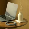 Native Union Belt Cable XL USB-C σε USB-C 3 μ. Zebra