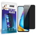 GrizzGlass Matte SecretGlass Vivo Y200i