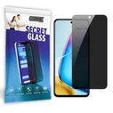 GrizzGlass Matte SecretGlass Vivo Y200T
