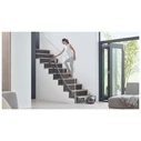 Dyson Cinetic Big Ball Absolute 2 Silver