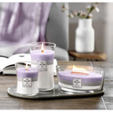 WoodWick Trilogy Αρωματικό Κερί σε Βάζο Amethyst Sky 453,6g