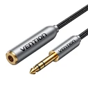 Vention 6.35mm Male to 6.35mm Female Audio Cable, 2 m (BCXHH)