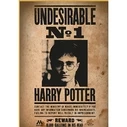 Παζλ Thumbs up! Harry Potter "Wanted No.1" 50 pieces