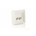 Πρίζα Δικτύου Equip box +Frontplatte 2xRJ45 Cat5e 45° RAL 1013(White)