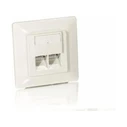 Πρίζα Δικτύου Equip box +Frontplatte 2xRJ45 Cat5e 45° RAL 1013(White)