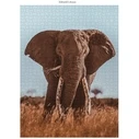 Παζλ Ambassador African Elephant 1000 Pieces (Donal Boyd)